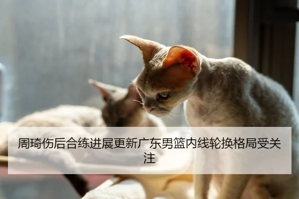 周琦伤后合练进展更新广东男篮内线轮换格局受关注